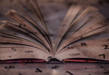 Izuzetni ljudi imaju jedan broj u datumu rođenja: Da li ste u grupi koja menja svet ili vas niko ne poznaje?