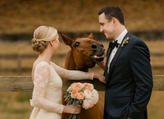 Tokom svadbenog fotografisanja, moj konj je iznenada počeo da rže kad je video mog verenika, a zatim ga je ugrizao — tek kasnije sam shvatila zašto…