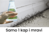 Sa samo jednom kapljicom, možete učiniti da mravi trenutno nestanu – nevjerojatno učinkovit trik za vaš dom!