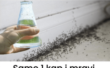 Sa samo jednom kapljicom, možete učiniti da mravi trenutno nestanu – nevjerojatno učinkovit trik za vaš dom!