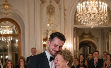 Kad je umišljena mladenka otjerala svekrvu iz obiteljskih fotografija zbog stare haljine, nije slutila da će mladoženja usred svadbenog plesa izabrati majku i razotkriti tajnu koja je čekala godinama