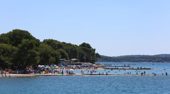 U plićaku Jadrana viđeno opasno stvorenje: Približilo se popularnoj plaži, upozorenje za turiste i kupače