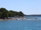 U plićaku Jadrana viđeno opasno stvorenje: Približilo se popularnoj plaži, upozorenje za turiste i kupače