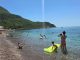 Kupači na plaži u Crnoj Gori NISU MOGLI DA VERUJU OČIMA! Zbog onoga što su videli u PLIĆAKU, odmah su pobjegli… (VIDEO)