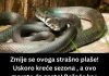 ZMIJE SE SAMO OVOGA KRVNIČKI PLAŠE! Čim to OSETE BEŽE KAO LUDE! Nikada se NEĆE VRATITI, Srbi, SAMO U TOME JE SPAS! ZMIJE SE SAMO OVOGA KRVNIČKI PLAŠE! Čim to OSETE BEŽE KAO LUDE! Nikada se NEĆE VRATITI, Srbi, SAMO U TOME JE SPAS! - featured image