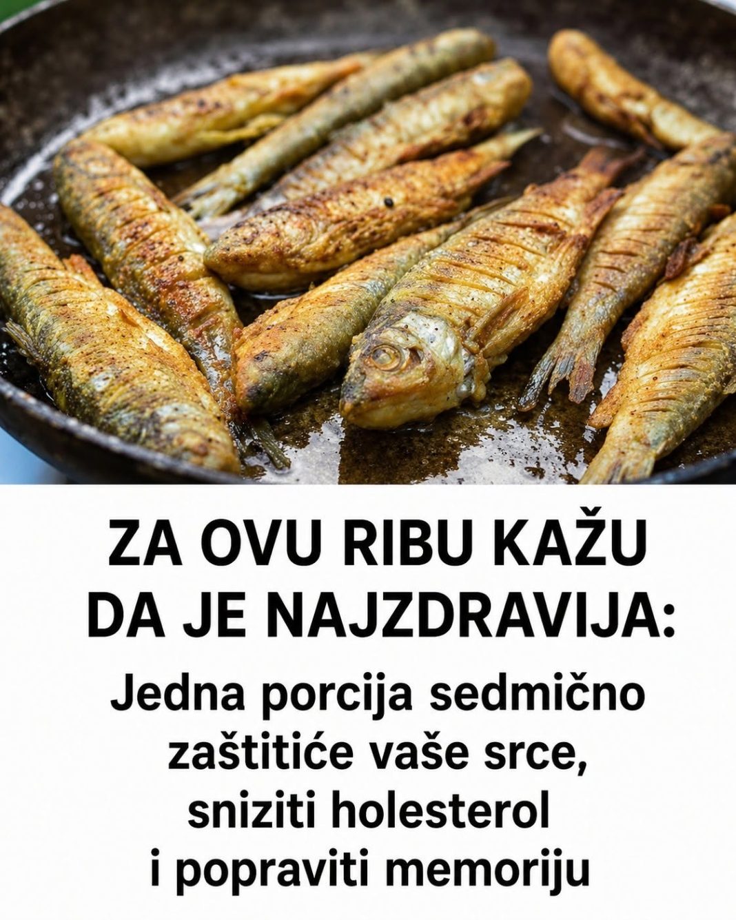 ZA OVU RIBU KAŽU DA JE NAJZDRAVIJA: Jedna porcija sedmično zaštitiće vaše srce, sniziti holesterol i popraviti memoriju - featured image