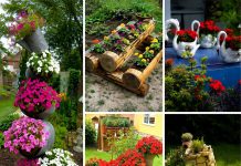 10 kreativnih ideja za cvjetne dekoracije u dvorištu koje će svaki prostor pretvoriti u malu oazu 10 kreativnih ideja za cvjetne dekoracije u dvorištu koje će svaki prostor pretvoriti u malu oazu - featured image