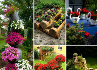 10 kreativnih ideja za cvjetne dekoracije u dvorištu koje će svaki prostor pretvoriti u malu oazu 10 kreativnih ideja za cvjetne dekoracije u dvorištu koje će svaki prostor pretvoriti u malu oazu - featured image