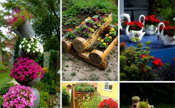 10 kreativnih ideja za cvjetne dekoracije u dvorištu koje će svaki prostor pretvoriti u malu oazu 10 kreativnih ideja za cvjetne dekoracije u dvorištu koje će svaki prostor pretvoriti u malu oazu - featured image