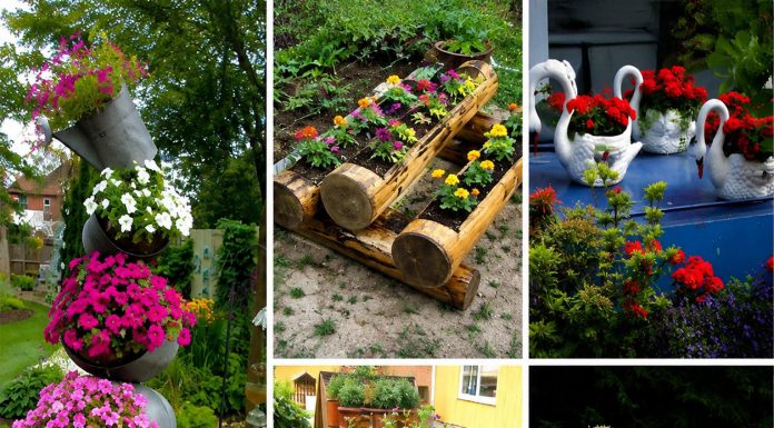 10 kreativnih ideja za cvjetne dekoracije u dvorištu koje će svaki prostor pretvoriti u malu oazu 10 kreativnih ideja za cvjetne dekoracije u dvorištu koje će svaki prostor pretvoriti u malu oazu - featured image