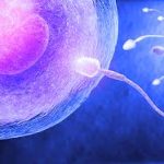 Pet stvari ukazuje da je muškarac neplodan – evo koje Pet stvari ukazuje da je muškarac neplodan – evo koje - featured image