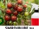 SMRDIBUBE su NESTALE za 24 sata! Nisam verovao dok nisam probao… SMRDIBUBE su NESTALE za 24 sata! Nisam verovao dok nisam probao… - featured image