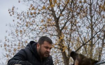 Samo sam htjela baciti svoj stari dušek, koji je već bio pocijepan na nekoliko mjesta, ali moj pas je zario zube u njega i nije mi dao da napravim ni jedan korak. U tom trenutku još uvijek nisam shvatala zašto se tako čudno ponaša, ali samo nekoliko minuta kasnije zažalila sam što sam uopće odlučila iznijeti taj dušek iz kuće. 😨😨 Samo sam htjela baciti svoj stari dušek, koji je već bio pocijepan na nekoliko mjesta, ali moj pas je zario zube u njega i nije mi dao da napravim ni jedan korak. U tom trenutku još uvijek nisam shvatala zašto se tako čudno ponaša, ali samo nekoliko minuta kasnije zažalila sam što sam uopće odlučila iznijeti taj dušek iz kuće. 😨😨 - featured image