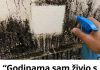 “Godinama sam živio s plijesni na zidovima… a onda sam otkrio trik koji je uklanja bez ribanja!” “Godinama sam živio s plijesni na zidovima… a onda sam otkrio trik koji je uklanja bez ribanja!” - featured image