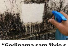 “Godinama sam živio s plijesni na zidovima… a onda sam otkrio trik koji je uklanja bez ribanja!” “Godinama sam živio s plijesni na zidovima… a onda sam otkrio trik koji je uklanja bez ribanja!” - featured image
