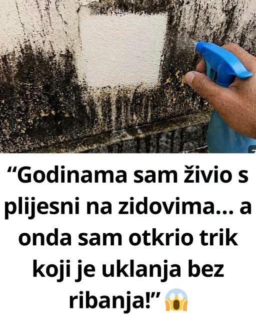 “Godinama sam živio s plijesni na zidovima… a onda sam otkrio trik koji je uklanja bez ribanja!” - featured image “Godinama sam živio s plijesni na zidovima… a onda sam otkrio trik koji je uklanja bez ribanja!” - featured image