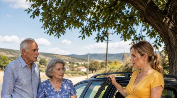 Trudna udovica u sedmom mjesecu trudnoće pronašla je uz rub ceste dvoje starijih ljudi koje je napustio vlastiti sin. Ana je imala dugove, rizikovala da izgubi zemlju koja joj je ostala od supruga i jedva si je mogla priuštiti da se brine o sebi. Trudna udovica u sedmom mjesecu trudnoće pronašla je uz rub ceste dvoje starijih ljudi koje je napustio vlastiti sin. Ana je imala dugove, rizikovala da izgubi zemlju koja joj je ostala od supruga i jedva si je mogla priuštiti da se brine o sebi. - featured image