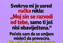 Svekrva mi je usred ručka rekla da se njen sin razvodi od mene Svekrva mi je usred ručka rekla da se njen sin razvodi od mene - featured image