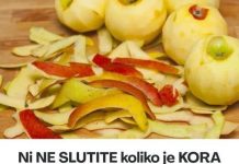 KORA JABUKE SE NE BACA: Ni ne slutite koliko je korisna, evo kako sve možete da je upotrijebite KORA JABUKE SE NE BACA: Ni ne slutite koliko je korisna, evo kako sve možete da je upotrijebite - featured image