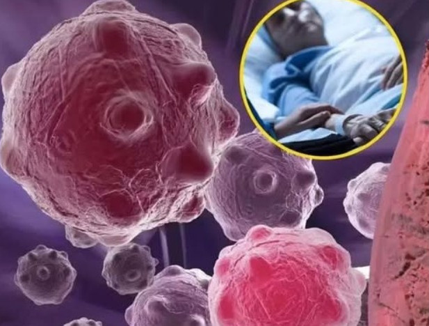 8 namirnica koje smanjuju upale i jačaju imunitet — savršen početak dana - featured image 8 namirnica koje smanjuju upale i jačaju imunitet — savršen početak dana - featured image