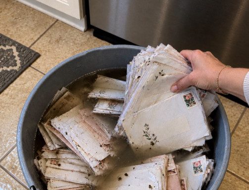 Buduća svekrva ubacila je naše frankirane pozivnice za vjenčanje u kantu prljave vode – a zatim tvrdila da je to bila „samo nezgoda”. Ono što je moj zaručnik nakon toga učinio bilo je njezina najgora noćna mora. Buduća svekrva ubacila je naše frankirane pozivnice za vjenčanje u kantu prljave vode – a zatim tvrdila da je to bila „samo nezgoda”. Ono što je moj zaručnik nakon toga učinio bilo je njezina najgora noćna mora. - featured image