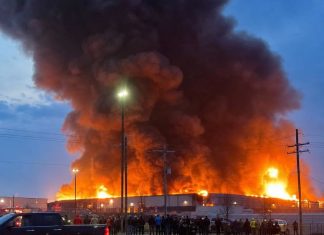 Veliki požar kod Vlasotinca zahvatio borovu šumu: Meštani prijavljivali ugrožene kuće, gašenje otežavao nepristupačan teren Veliki požar kod Vlasotinca zahvatio borovu šumu: Meštani prijavljivali ugrožene kuće, gašenje otežavao nepristupačan teren - featured image