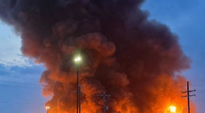 Veliki požar kod Vlasotinca zahvatio borovu šumu: Meštani prijavljivali ugrožene kuće, gašenje otežavao nepristupačan teren Veliki požar kod Vlasotinca zahvatio borovu šumu: Meštani prijavljivali ugrožene kuće, gašenje otežavao nepristupačan teren - featured image