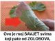 Ovo je moj SAVJET svima koji pate od ZGLOBOVA, akni i bolova u ušima: Morate probati šta ovi zeleni listovi mogu učiniti! Ovo je moj SAVJET svima koji pate od ZGLOBOVA, akni i bolova u ušima: Morate probati šta ovi zeleni listovi mogu učiniti! - featured image
