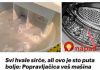 SVI HVALE SIRĆE, ALI OVO JE STO PUTA BOLJE: U porodici majstora veš mašina sam naučio kako da očistim celu veš mašinu što je brže moguće! SVI HVALE SIRĆE, ALI OVO JE STO PUTA BOLJE: U porodici majstora veš mašina sam naučio kako da očistim celu veš mašinu što je brže moguće! - featured image