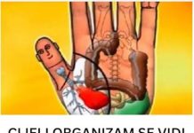 CIJELI ORGANIZAM SE VIDI NA DLANU: Pritisnite ovu tačku i sav bol će nestati za 5 minuta CIJELI ORGANIZAM SE VIDI NA DLANU: Pritisnite ovu tačku i sav bol će nestati za 5 minuta - featured image