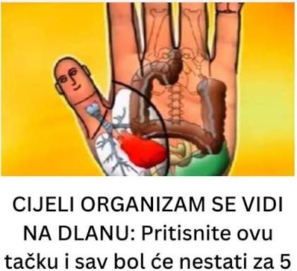 CIJELI ORGANIZAM SE VIDI NA DLANU: Pritisnite ovu tačku i sav bol će nestati za 5 minuta CIJELI ORGANIZAM SE VIDI NA DLANU: Pritisnite ovu tačku i sav bol će nestati za 5 minuta - featured image