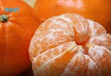Doktori upozoravaju na mandarine: Ova dva organa su posebno pogođena – evo ko ih smije, a ko ne smije jesti Doktori upozoravaju na mandarine: Ova dva organa su posebno pogođena – evo ko ih smije, a ko ne smije jesti - featured image