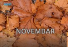 Od novembra kreće njihovo zlatno doba: 3 znaka ulaze u period kakav se čeka cijeli život Od novembra kreće njihovo zlatno doba: 3 znaka ulaze u period kakav se čeka cijeli život - featured image