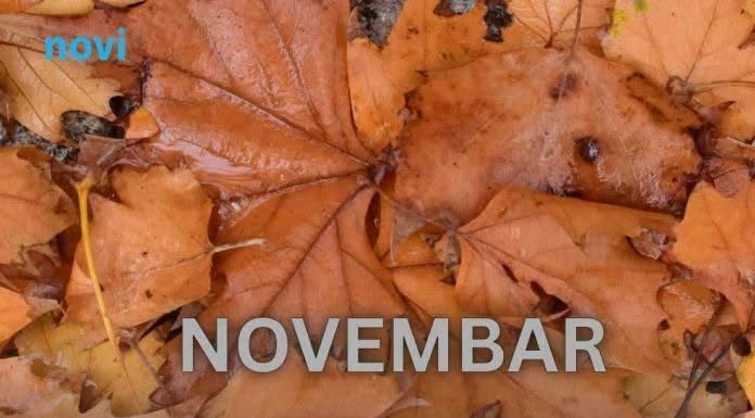 Od novembra kreće njihovo zlatno doba: 3 znaka ulaze u period kakav se čeka cijeli život Od novembra kreće njihovo zlatno doba: 3 znaka ulaze u period kakav se čeka cijeli život - featured image
