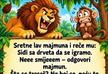 VIC: Majmun i lav VIC: Majmun i lav - featured image