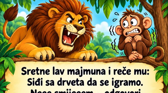 VIC: Majmun i lav VIC: Majmun i lav - featured image