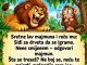 VIC: Majmun i lav VIC: Majmun i lav - featured image