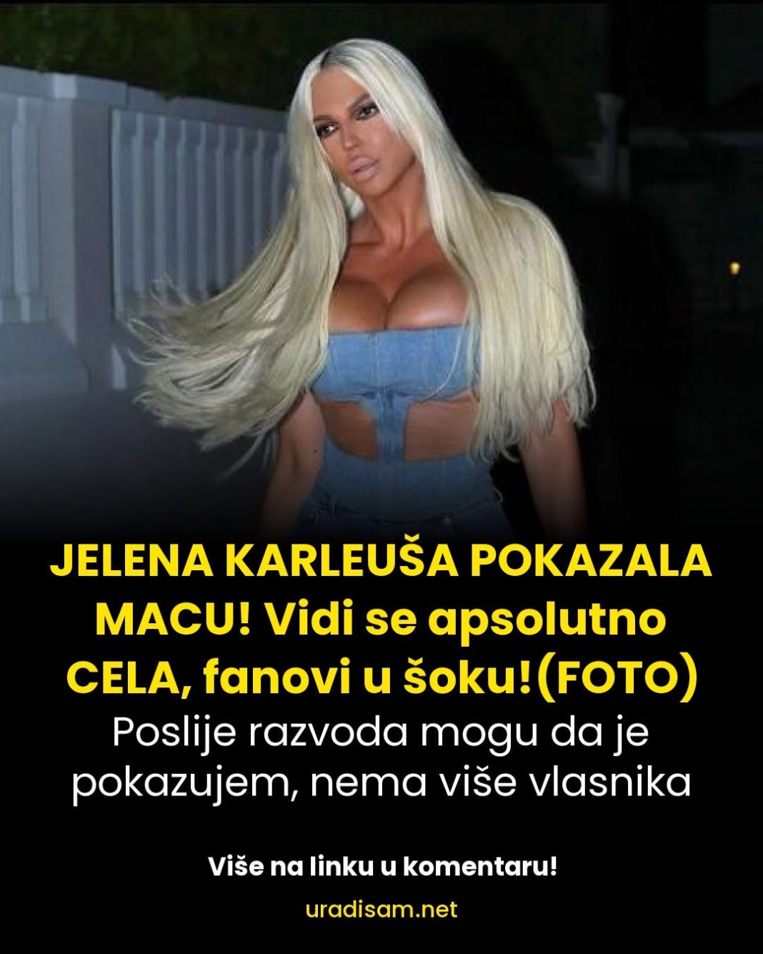JELENA KARLEUŠA POKAZALA MACU! Vidi se apsolutno CELA, muškarac je dira sa obe ruke! (FOTO) - featured image JELENA KARLEUŠA POKAZALA MACU! Vidi se apsolutno CELA, muškarac je dira sa obe ruke! (FOTO) - featured image