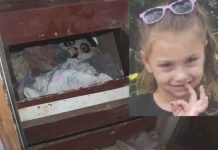 Nakon 3 godine pronađena djevojčica za kojom je tragao cijeli svijet: Godinama se smrzavala u mračnom podrumu rođenog deke, a prizor boli Nakon 3 godine pronađena djevojčica za kojom je tragao cijeli svijet: Godinama se smrzavala u mračnom podrumu rođenog deke, a prizor boli - featured image