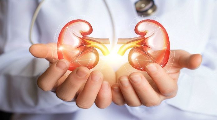RAK BUBREGA IMA 6 SIMPTOMA – TEŠKO SE PREPOZNAJU: Posebno obratite pažnju na broj 2 RAK BUBREGA IMA 6 SIMPTOMA – TEŠKO SE PREPOZNAJU: Posebno obratite pažnju na broj 2 - featured image