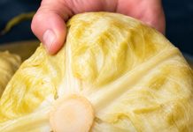 Ako pogriješite datum, sve vam može propasti: Evo kada se tačno kiseli kupus ove godine Ako pogriješite datum, sve vam može propasti: Evo kada se tačno kiseli kupus ove godine - featured image